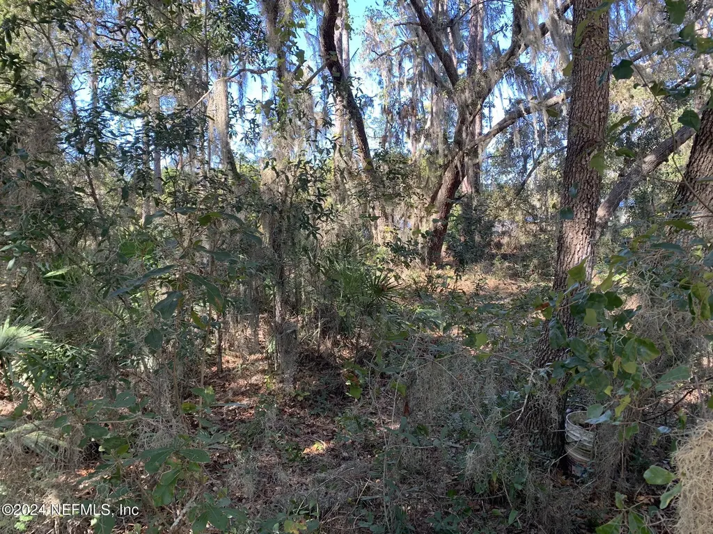 105 Palmer Drive Interlachen FL 32148