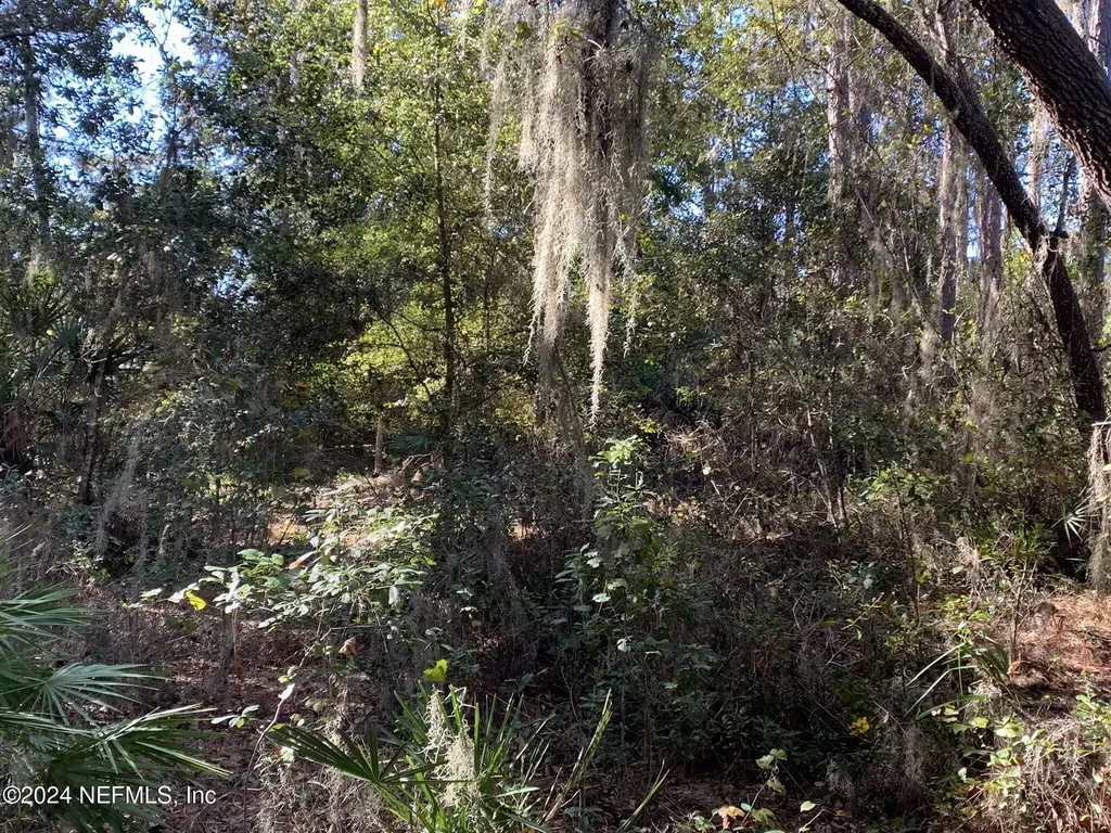 105 Palmer Drive Interlachen FL 32148