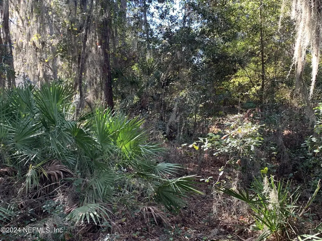 105 Palmer Drive Interlachen FL 32148