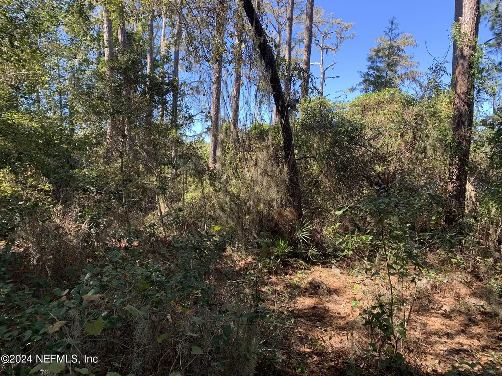 105 Palmer Drive Interlachen FL 32148
