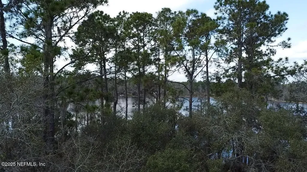 105 Palmer Drive Interlachen FL 32148