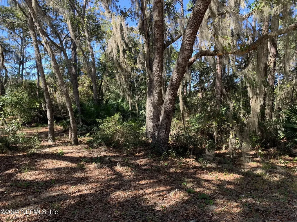 105 Palmer Drive Interlachen FL 32148