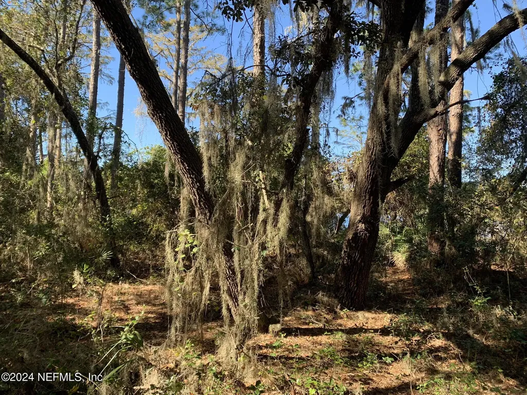105 Palmer Drive Interlachen FL 32148