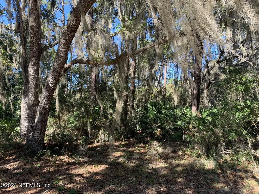 105 Palmer Drive Interlachen FL 32148