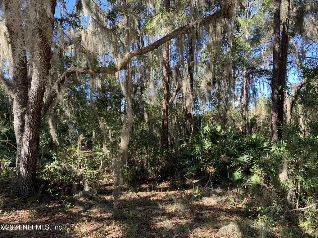 105 Palmer Drive Interlachen FL 32148