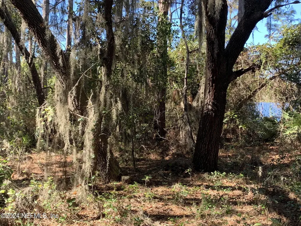 105 Palmer Drive Interlachen FL 32148