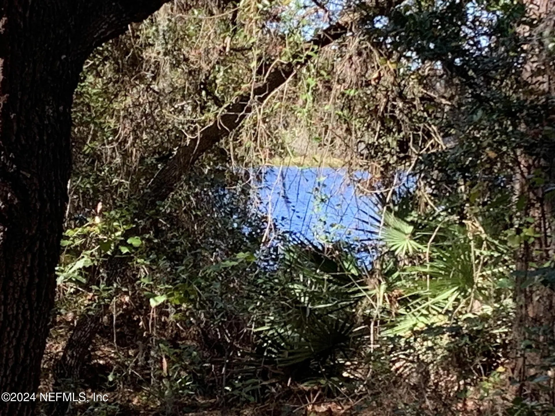 105 Palmer Drive Interlachen FL 32148
