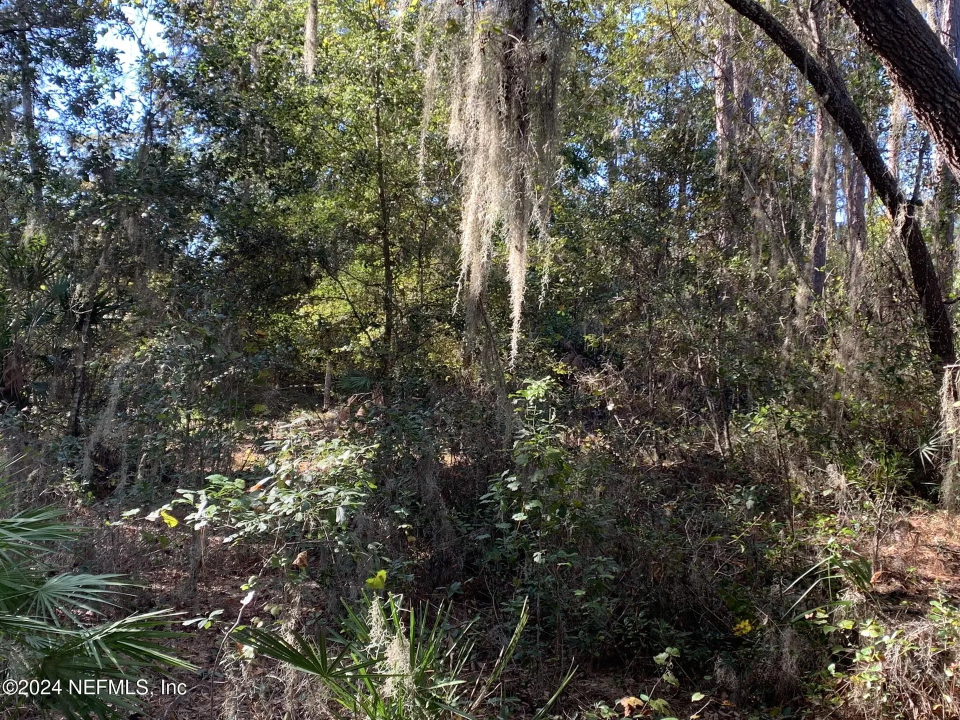 105 Palmer Drive Interlachen FL 32148
