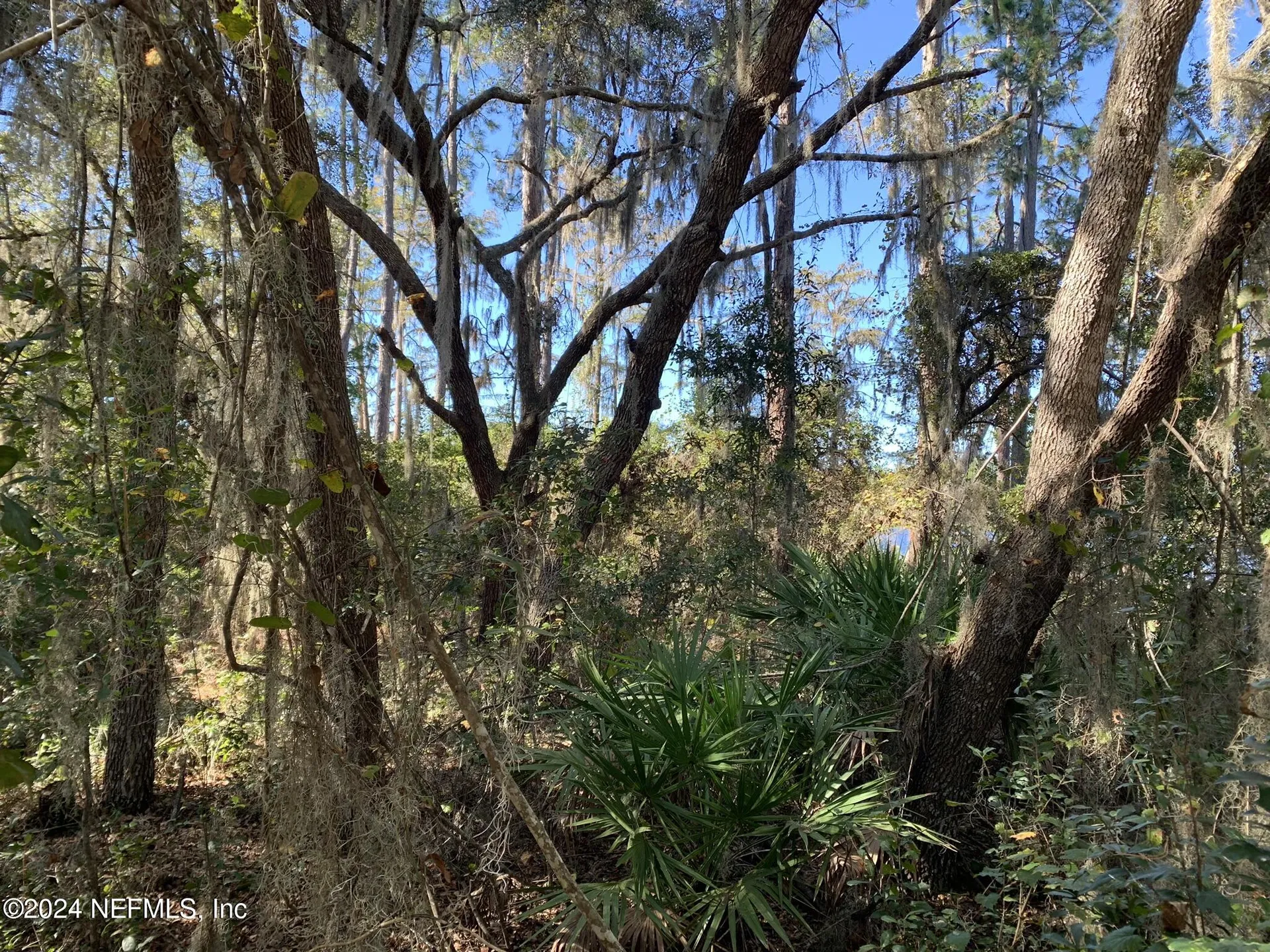 105 Palmer Drive Interlachen FL 32148