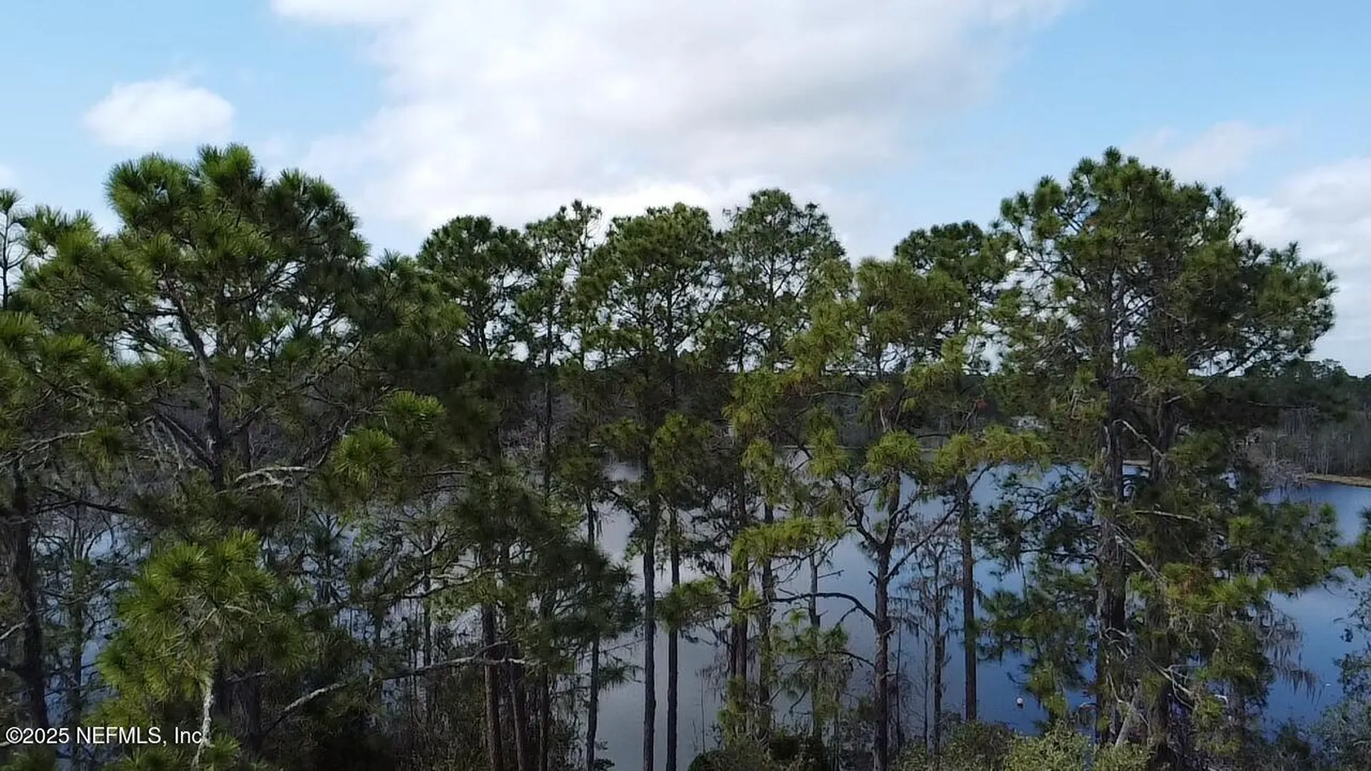 105 Palmer Drive Interlachen FL 32148