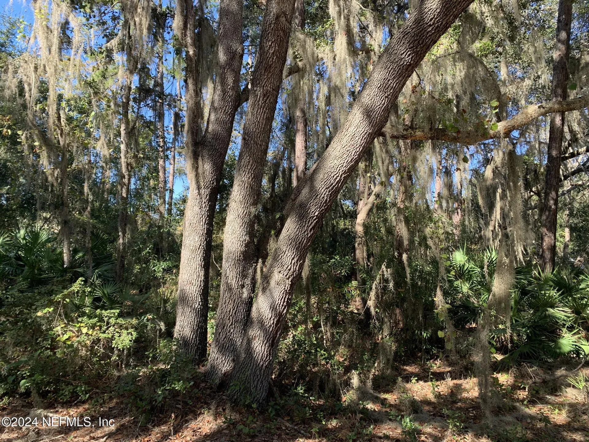 105 Palmer Drive Interlachen FL 32148