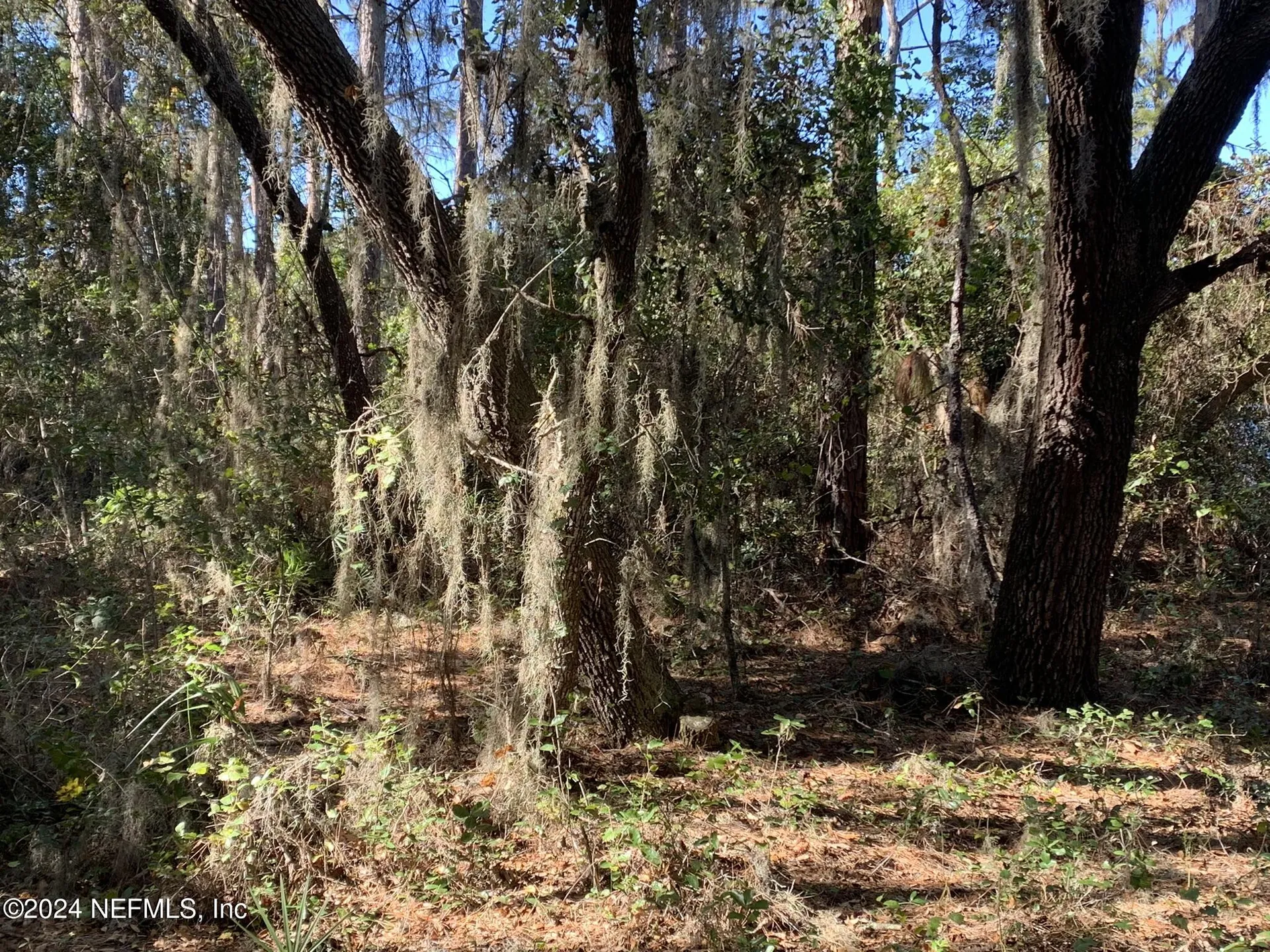 105 Palmer Drive Interlachen FL 32148