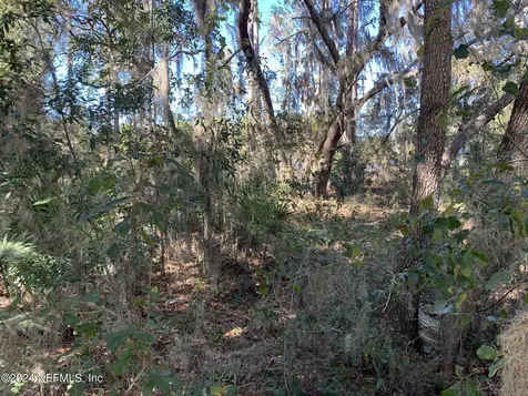 105 Palmer Drive Interlachen FL 32148