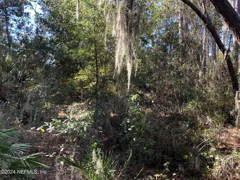105 Palmer Drive Interlachen FL 32148