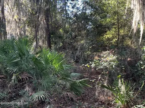 105 Palmer Drive Interlachen FL 32148