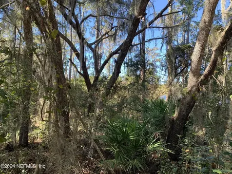 105 Palmer Drive Interlachen FL 32148
