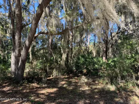 105 Palmer Drive Interlachen FL 32148