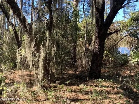 105 Palmer Drive Interlachen FL 32148