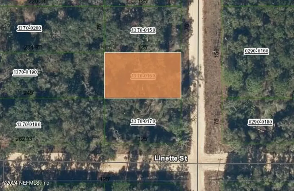 000000 Gloria Avenue Interlachen FL 32148