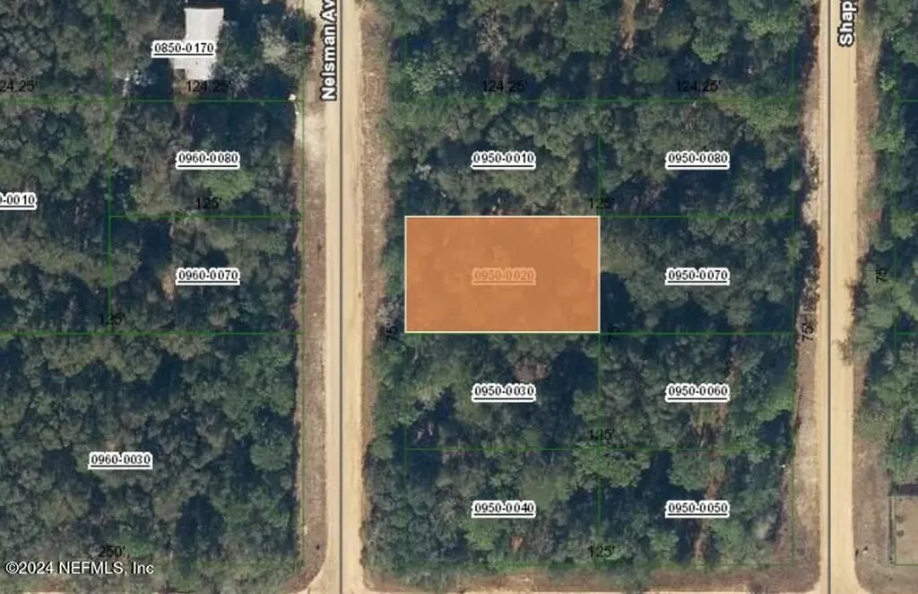 00000 Nelsman Avenue Interlachen FL 32148