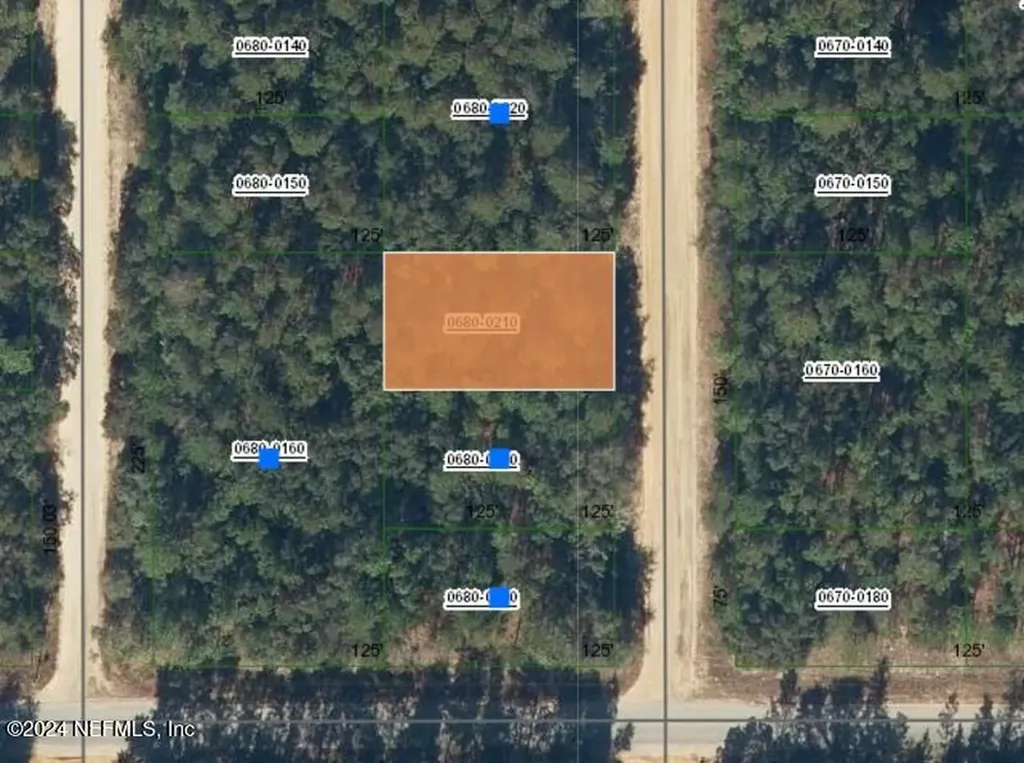 000000 Brett Avenue Interlachen FL 32148