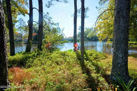 1443 Walnut Creek Drive Fleming Island FL 32003