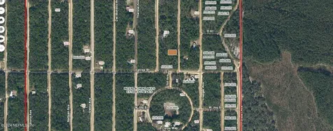 000000 Norman Avenue Interlachen FL 32148