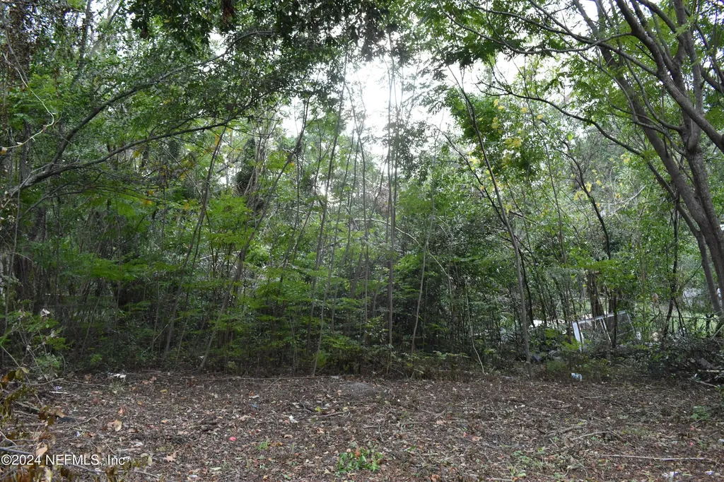 1904 Husson Avenue Palatka FL 32177