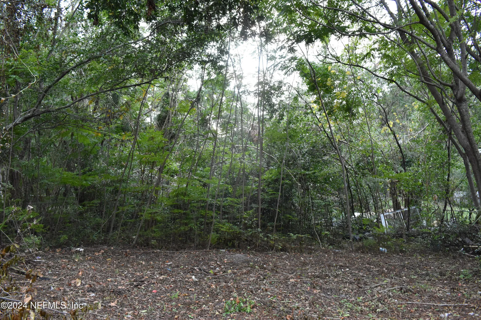 1904 Husson Avenue Palatka FL 32177
