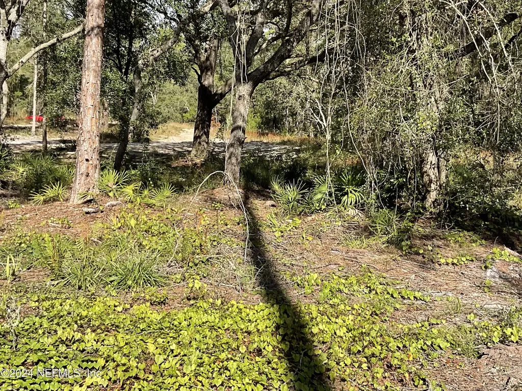 101 New Jersey Street Satsuma FL 32189