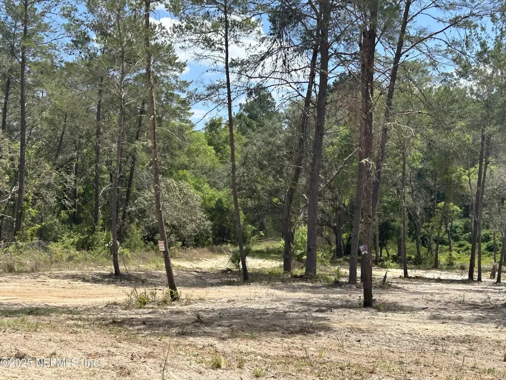 101 New Jersey Street Satsuma FL 32189
