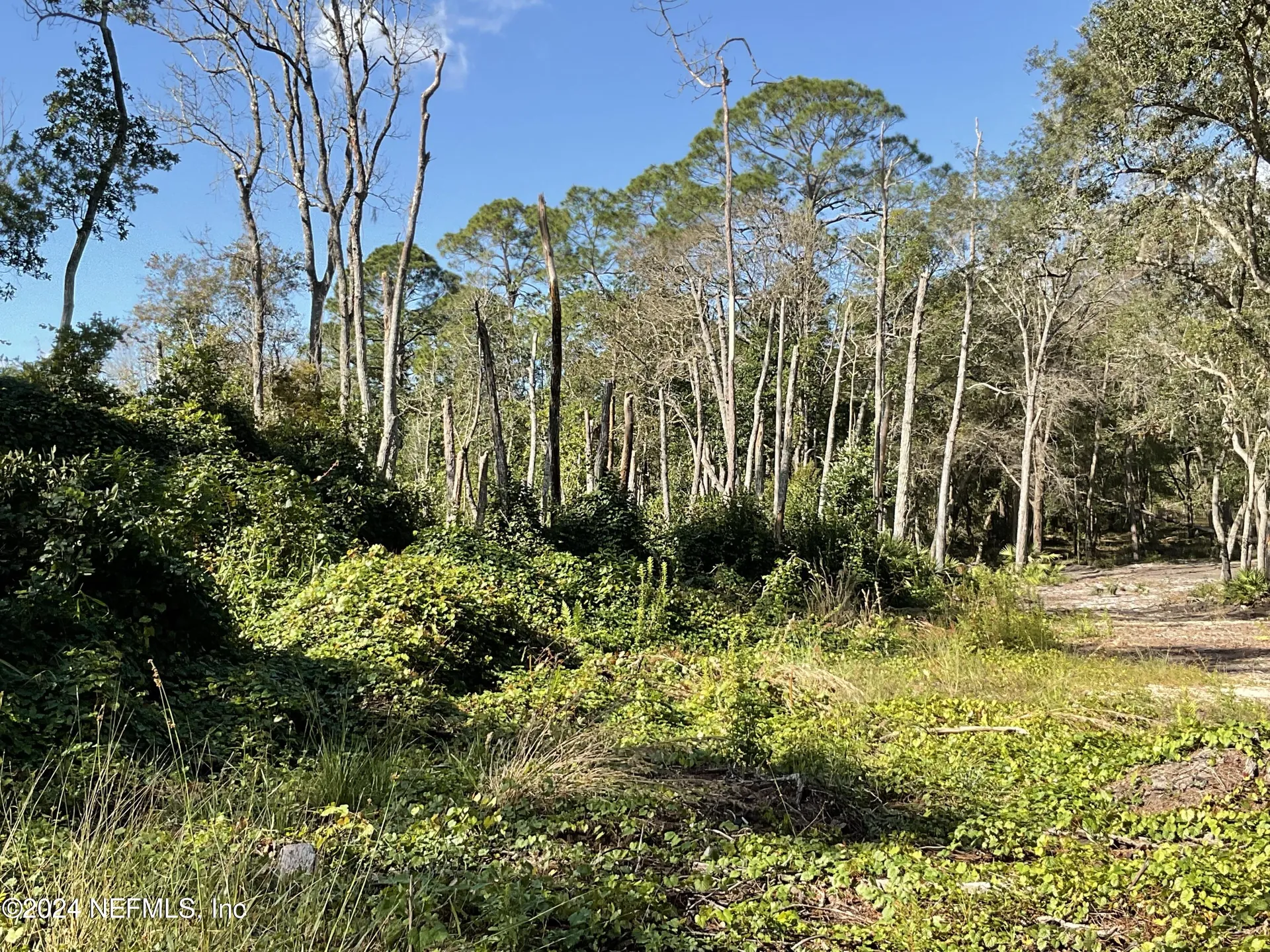 101 New Jersey Street Satsuma FL 32189