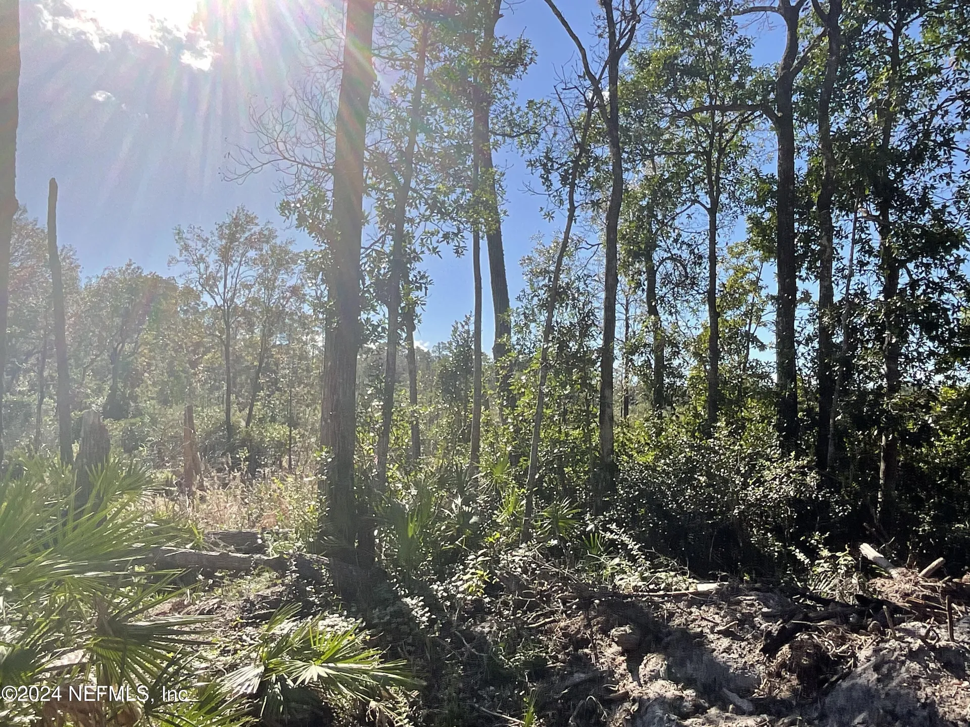 101 New Jersey Street Satsuma FL 32189