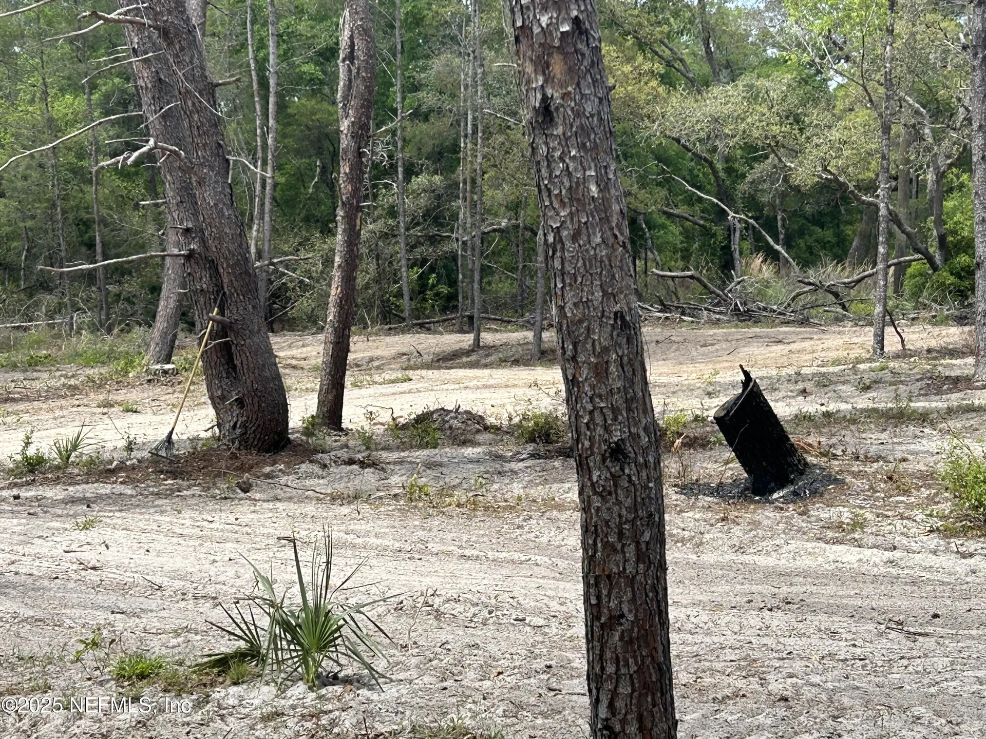 101 New Jersey Street Satsuma FL 32189