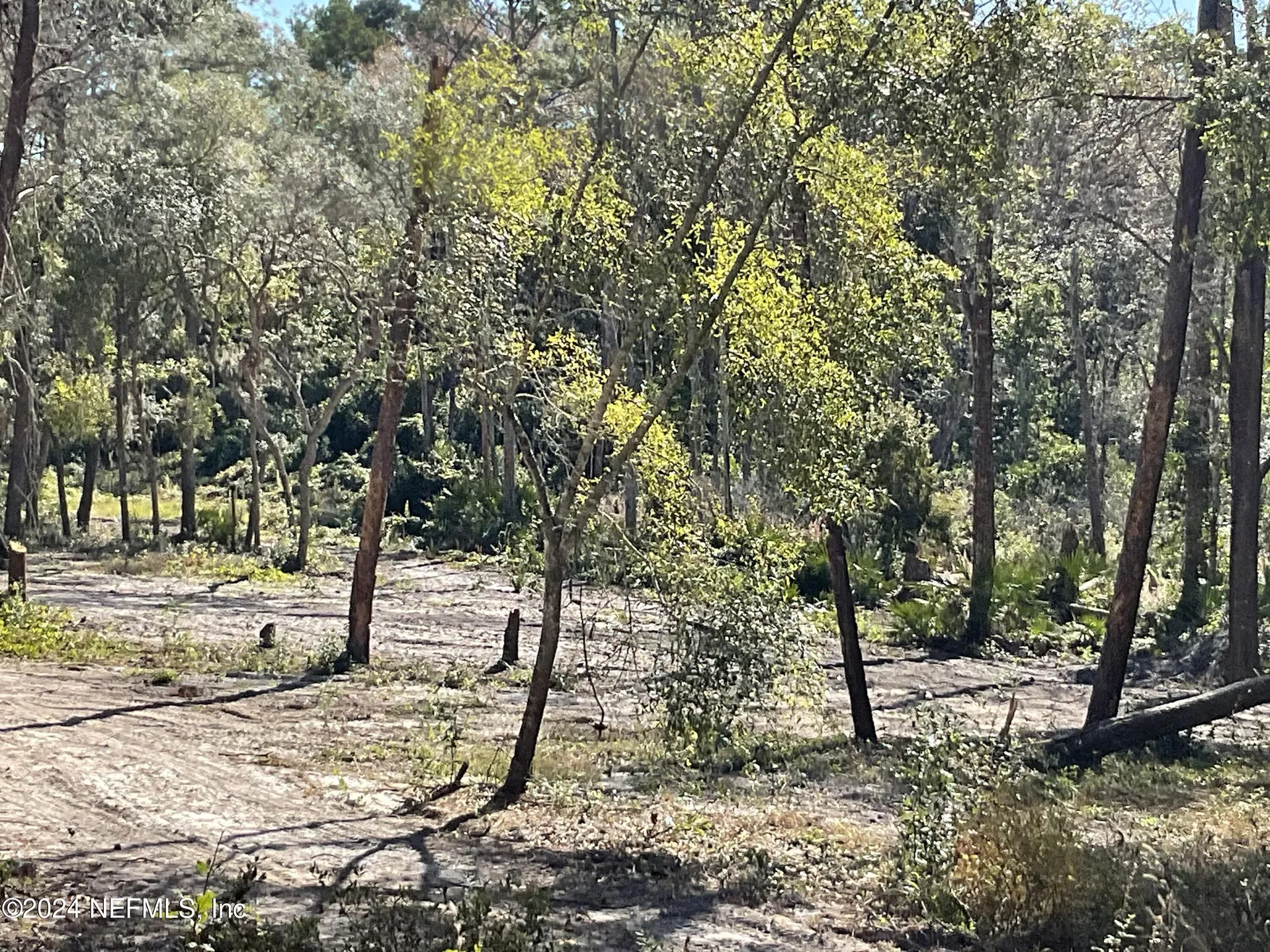 101 New Jersey Street Satsuma FL 32189