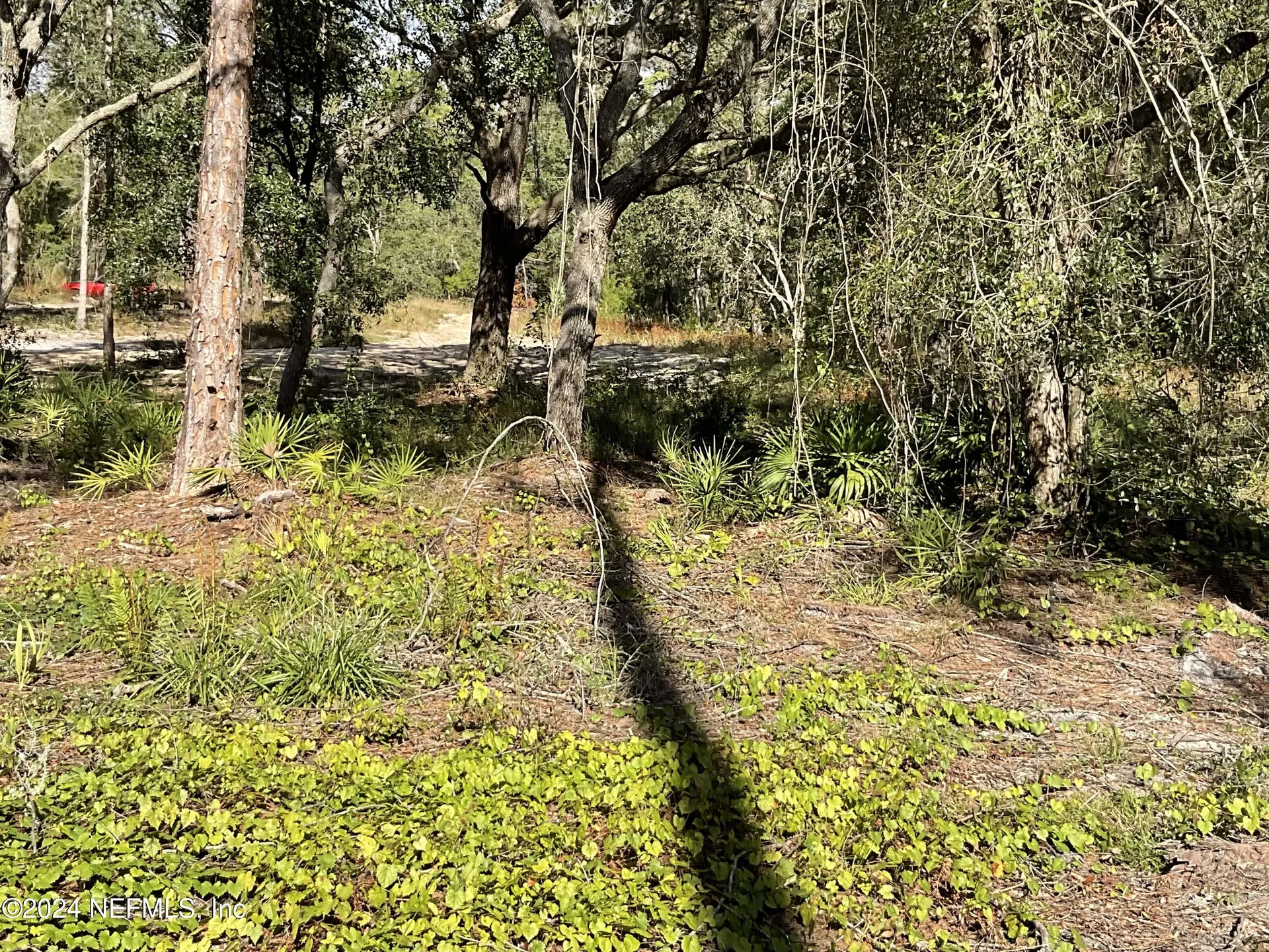 101 New Jersey Street Satsuma FL 32189