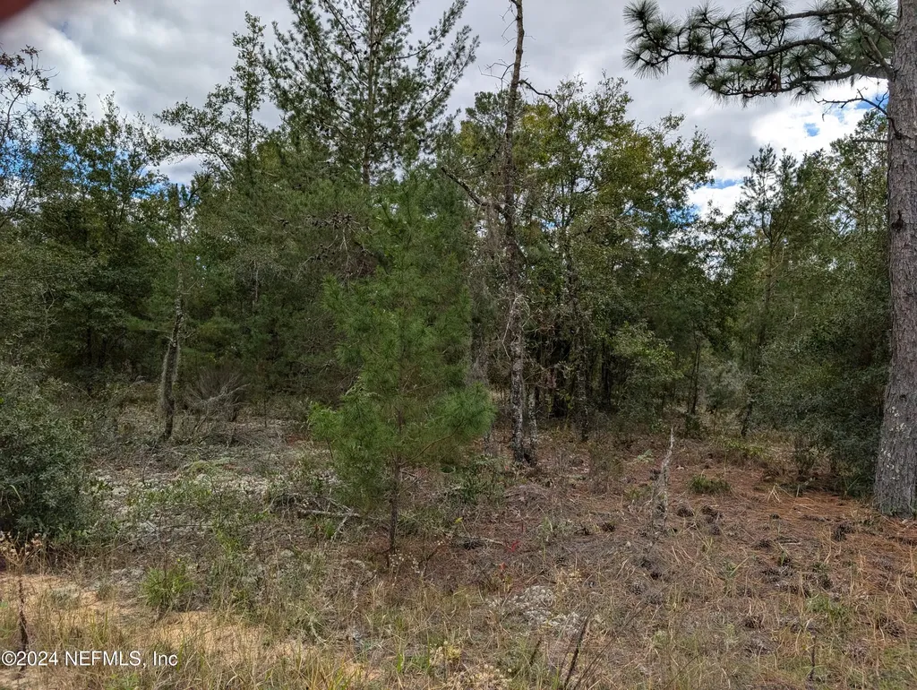 0200 Pine Way Interlachen FL 32148