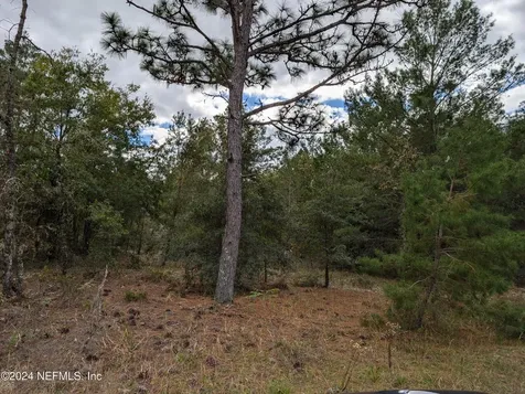 0200 Pine Way Interlachen FL 32148