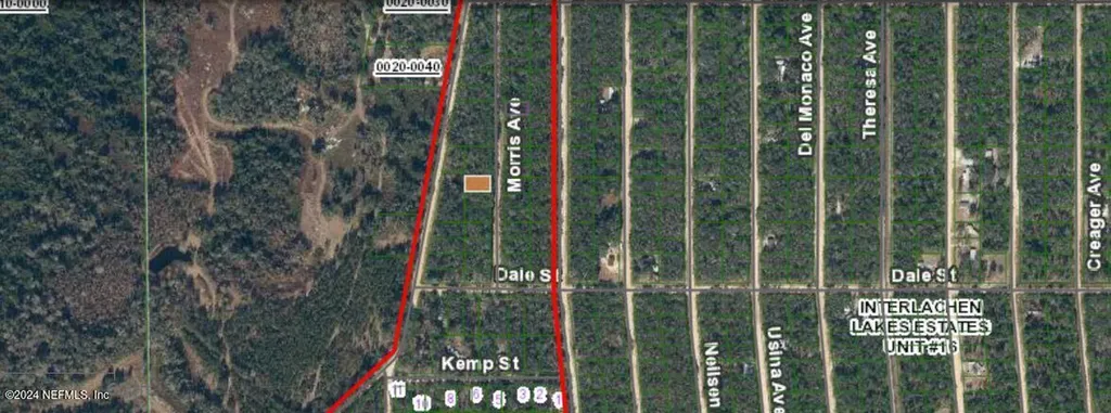 0 Morris Avenue Interlachen FL 32148