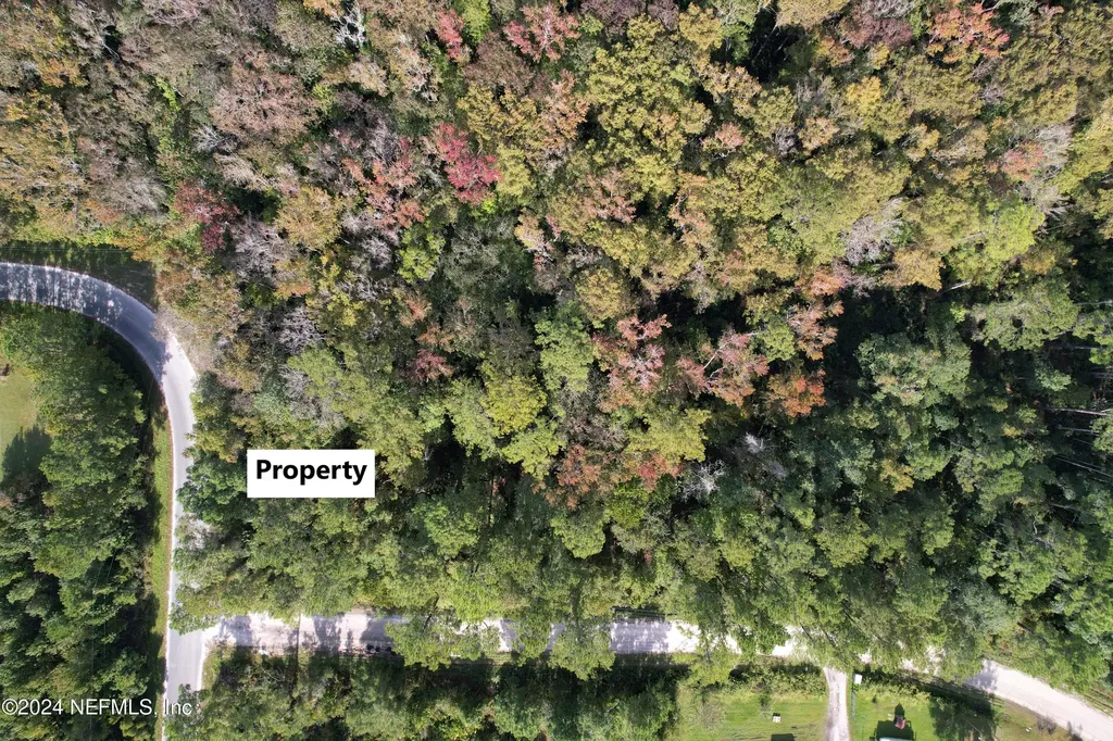 00 Tropic Avenue Satsuma FL 32189