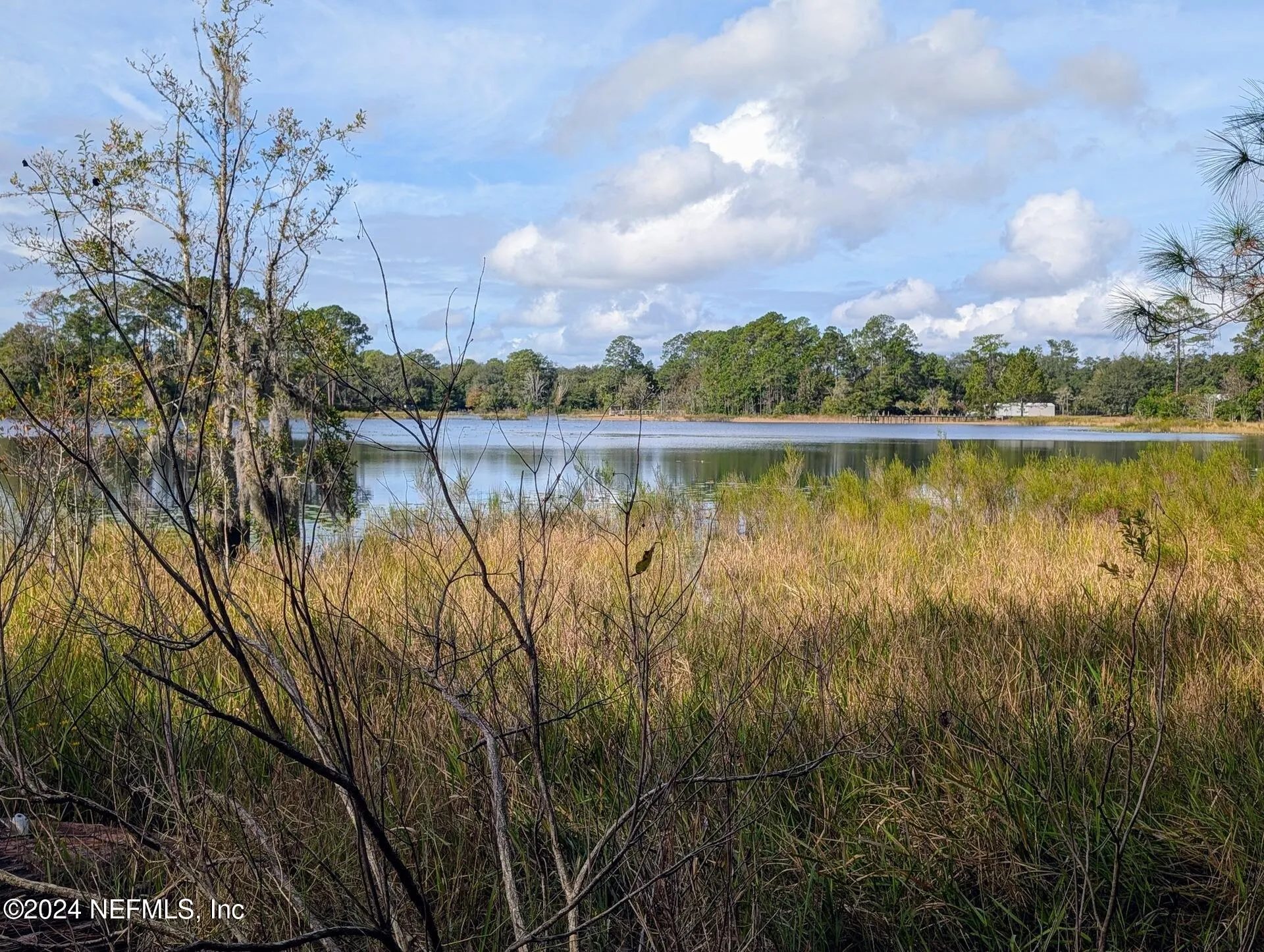 133 Mullis Avenue Interlachen FL 32148