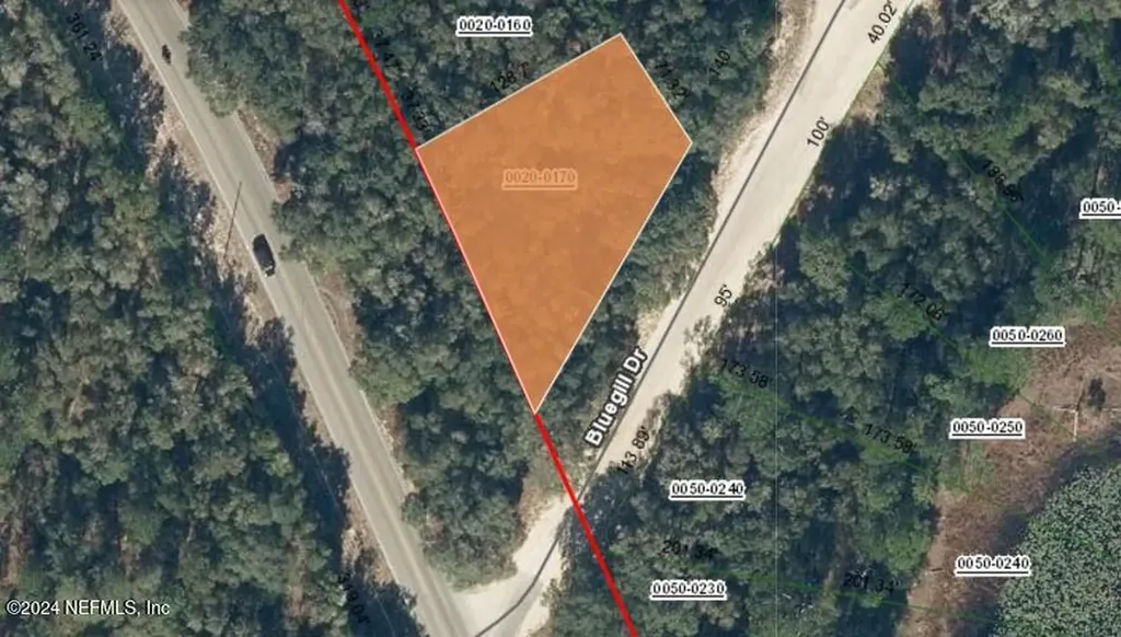 0000 Bluegill Interlachen FL 32148