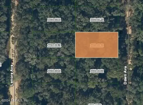 00000 Dawn Avenue Interlachen FL 32148