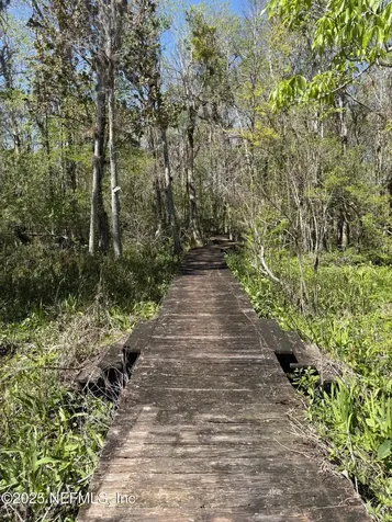 162 Pioneer Trail Green Cove Springs FL 32043