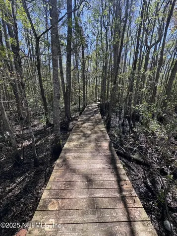162 Pioneer Trail Green Cove Springs FL 32043