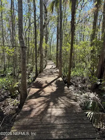 162 Pioneer Trail Green Cove Springs FL 32043