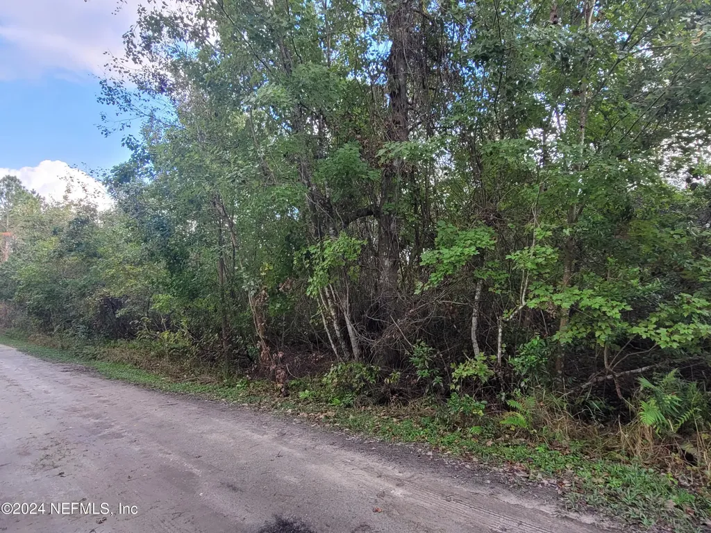 0 Logan Avenue Crescent City FL 32112