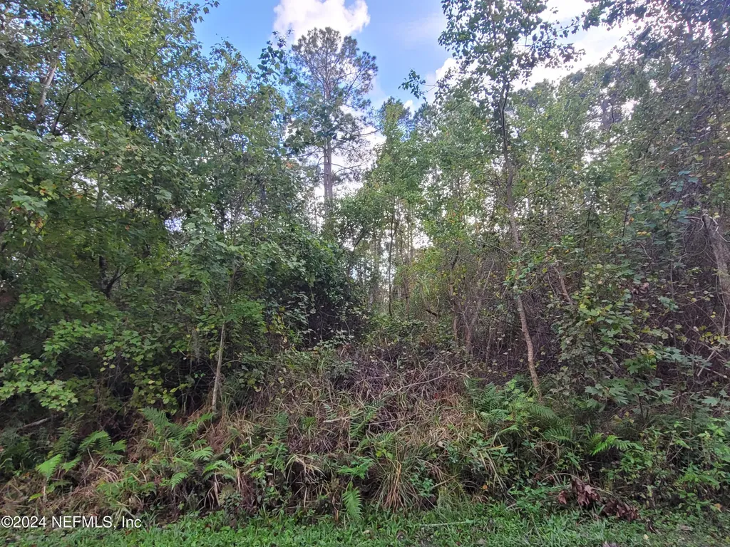 0 Logan Avenue Crescent City FL 32112