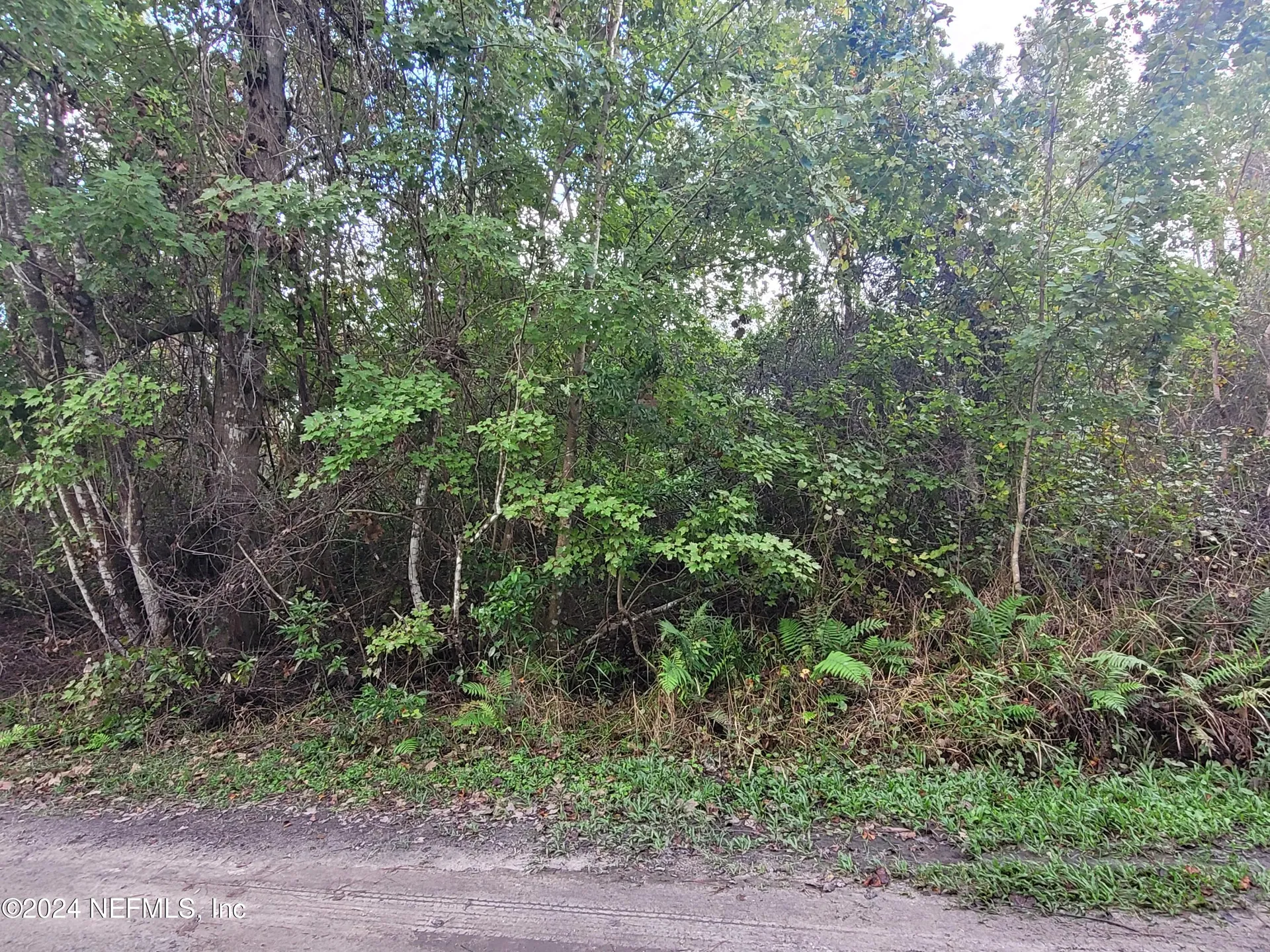 0 Logan Avenue Crescent City FL 32112