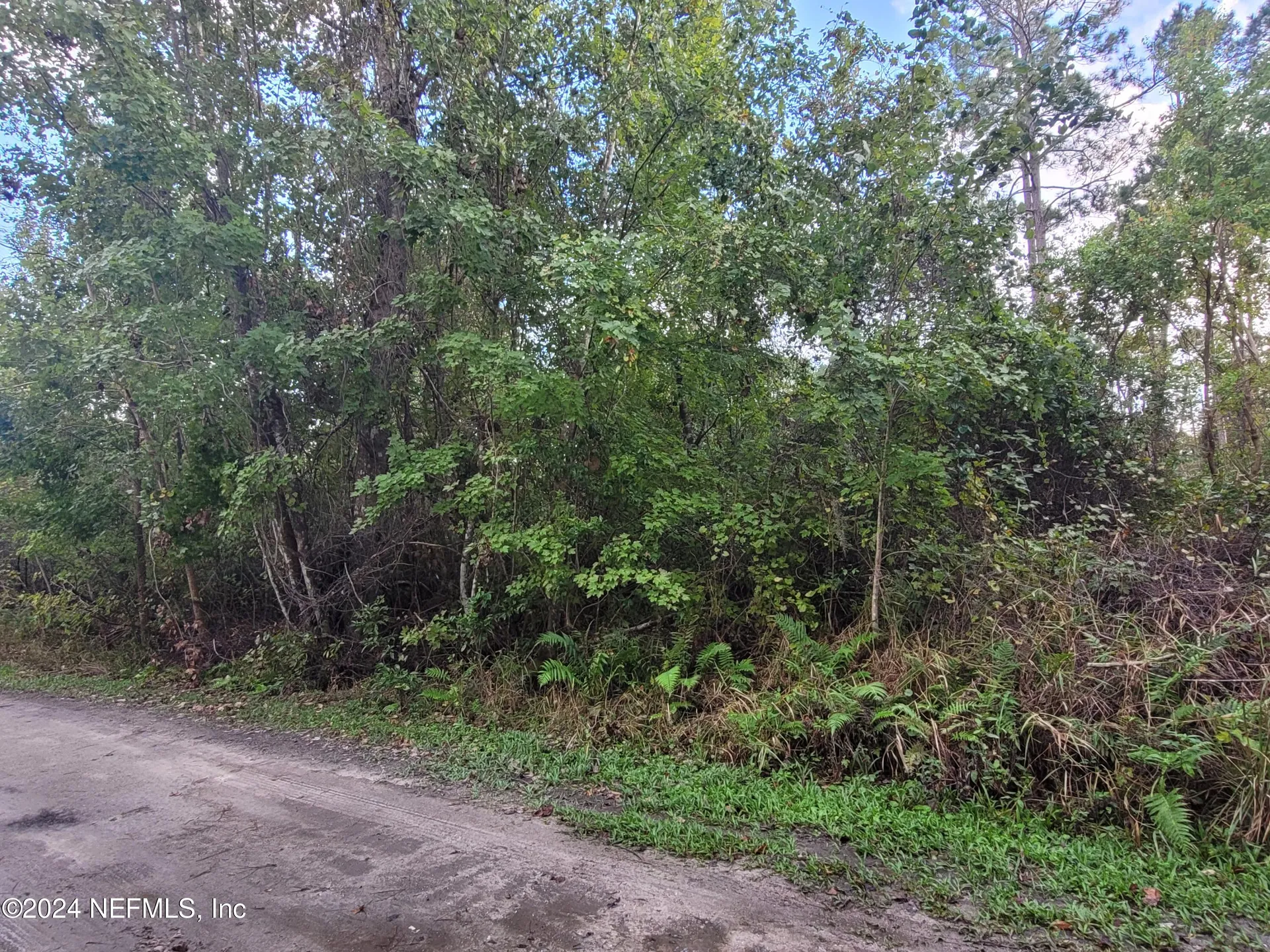 0 Logan Avenue Crescent City FL 32112